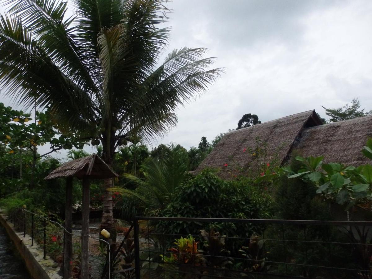 Magpie Homestay & Jungle Trekking Only For Guest Trekking With Us Bukit Lawang Εξωτερικό φωτογραφία