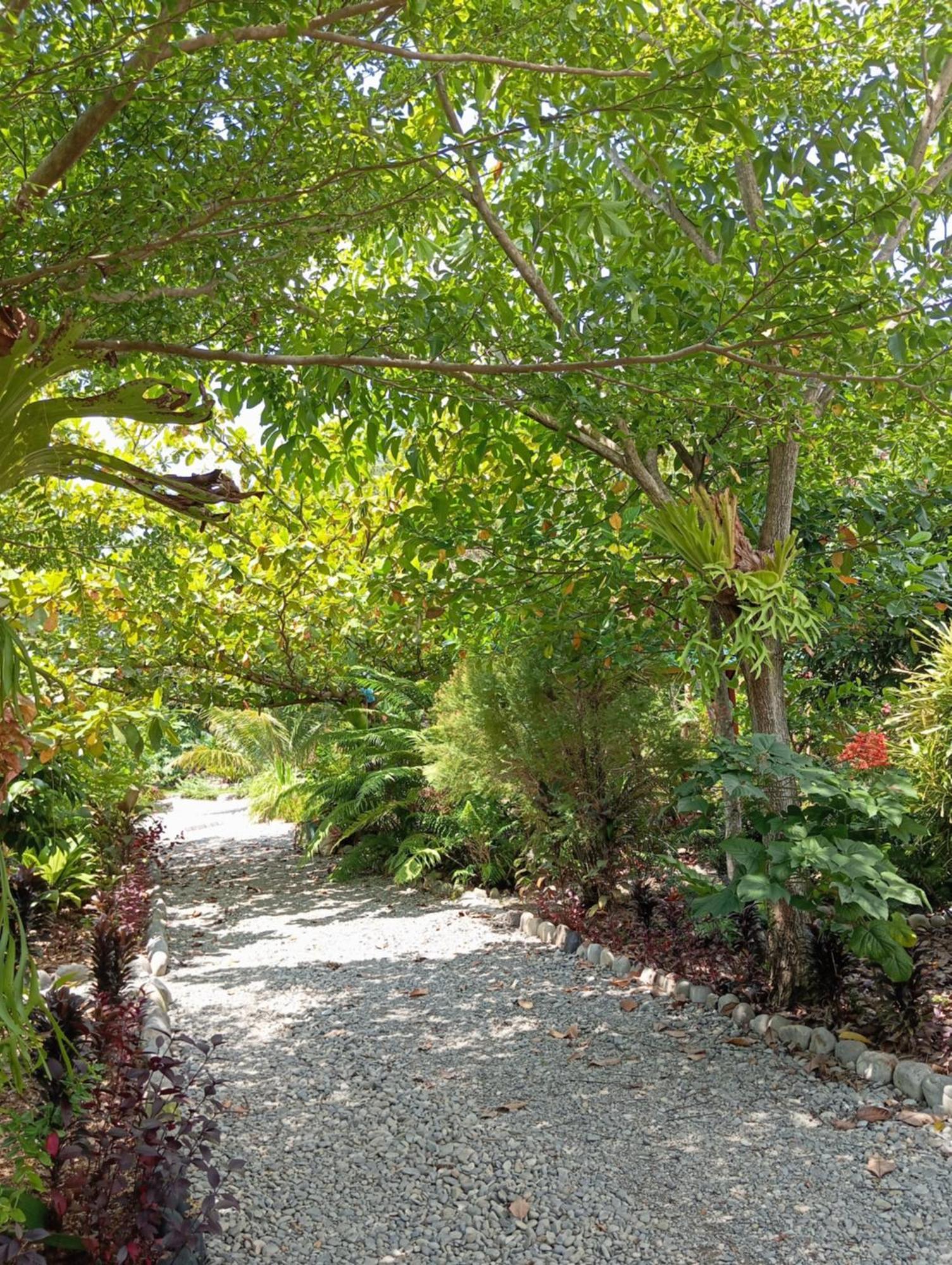 Magpie Homestay & Jungle Trekking Only For Guest Trekking With Us Bukit Lawang Εξωτερικό φωτογραφία
