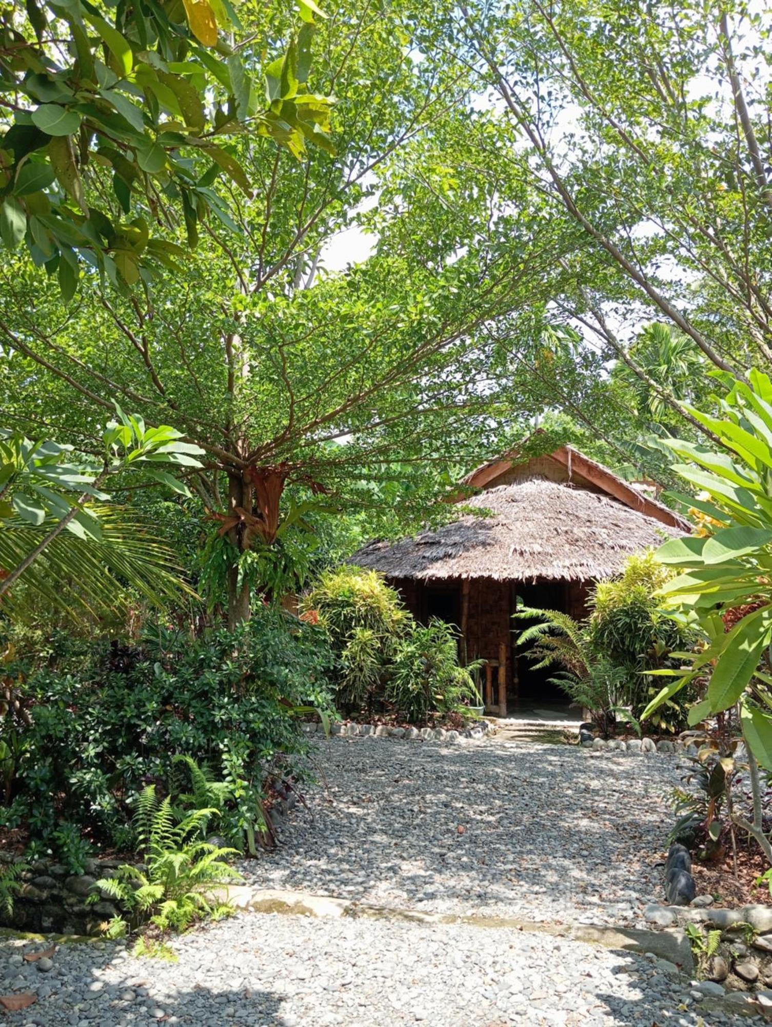 Magpie Homestay & Jungle Trekking Only For Guest Trekking With Us Bukit Lawang Εξωτερικό φωτογραφία