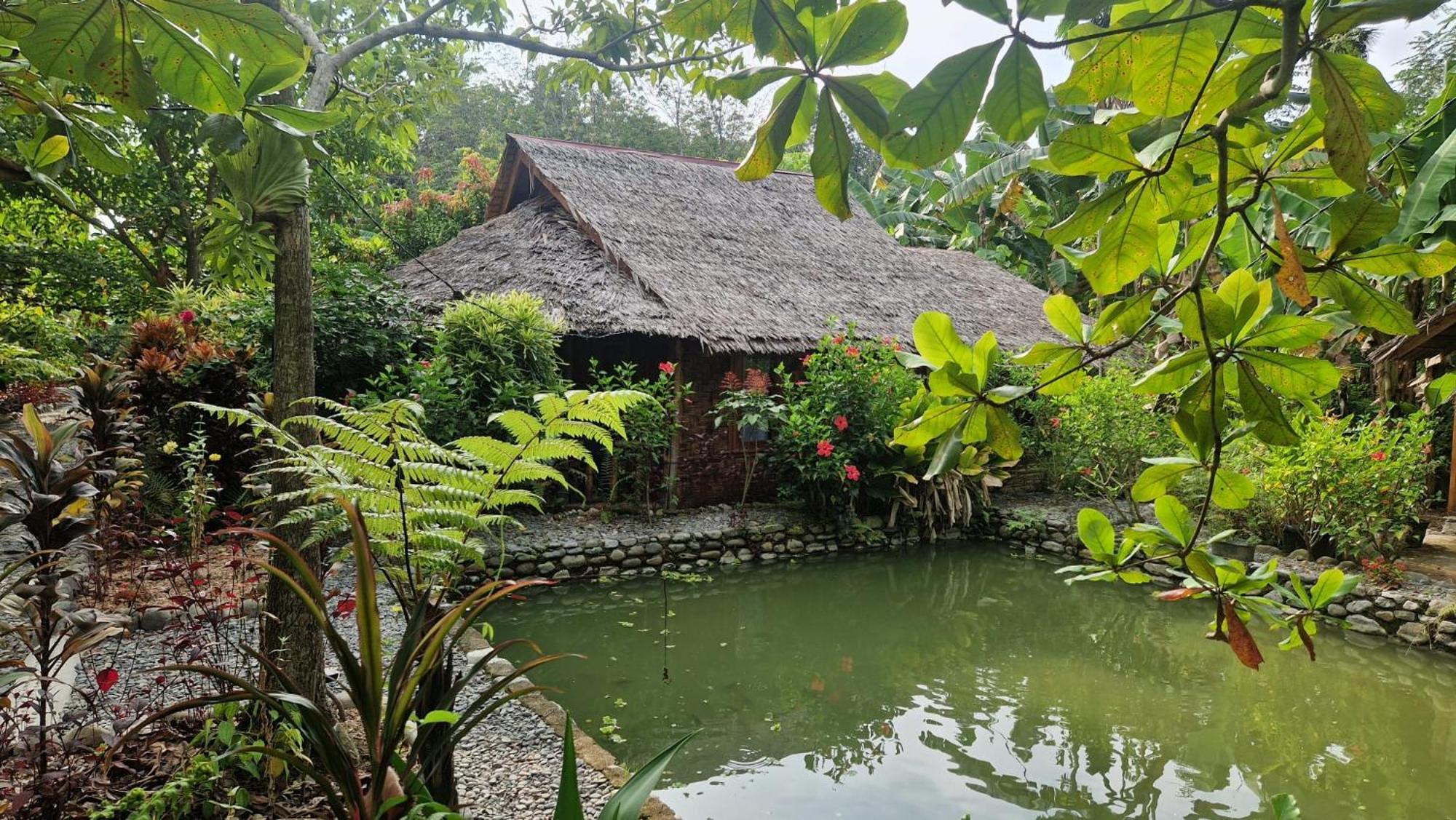Magpie Homestay & Jungle Trekking Only For Guest Trekking With Us Bukit Lawang Εξωτερικό φωτογραφία