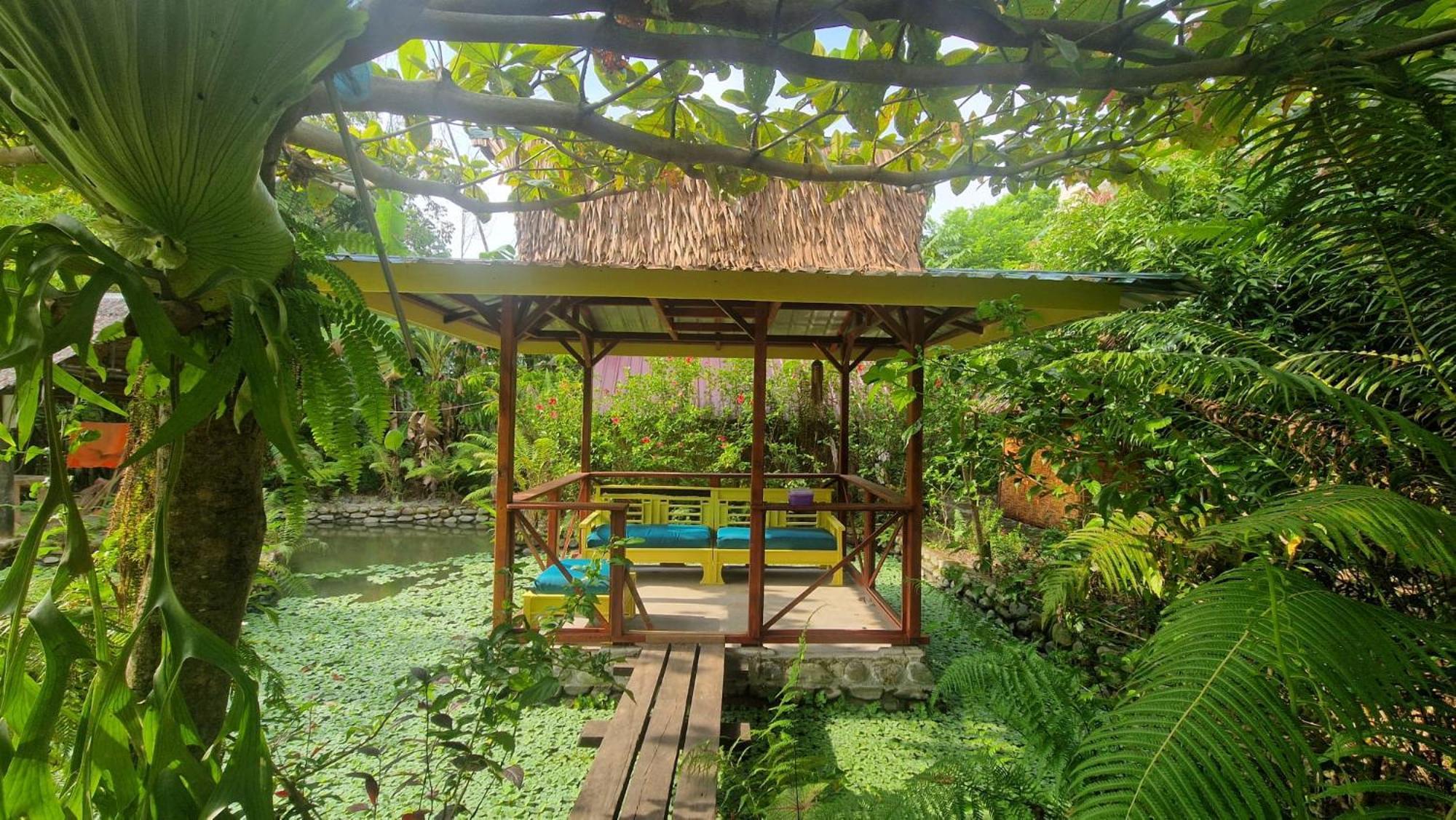 Magpie Homestay & Jungle Trekking Only For Guest Trekking With Us Bukit Lawang Εξωτερικό φωτογραφία