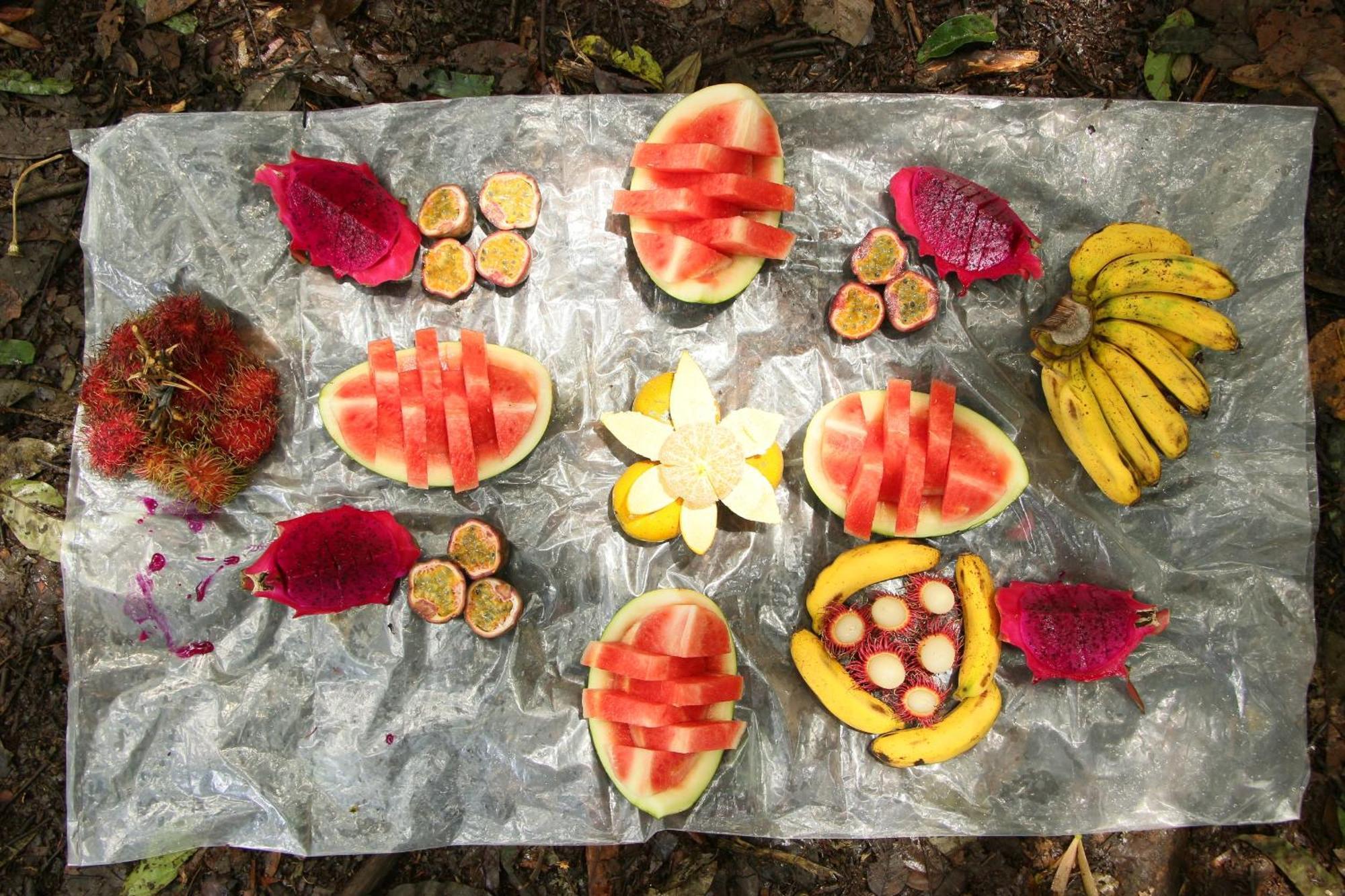 Magpie Homestay & Jungle Trekking Only For Guest Trekking With Us Bukit Lawang Εξωτερικό φωτογραφία