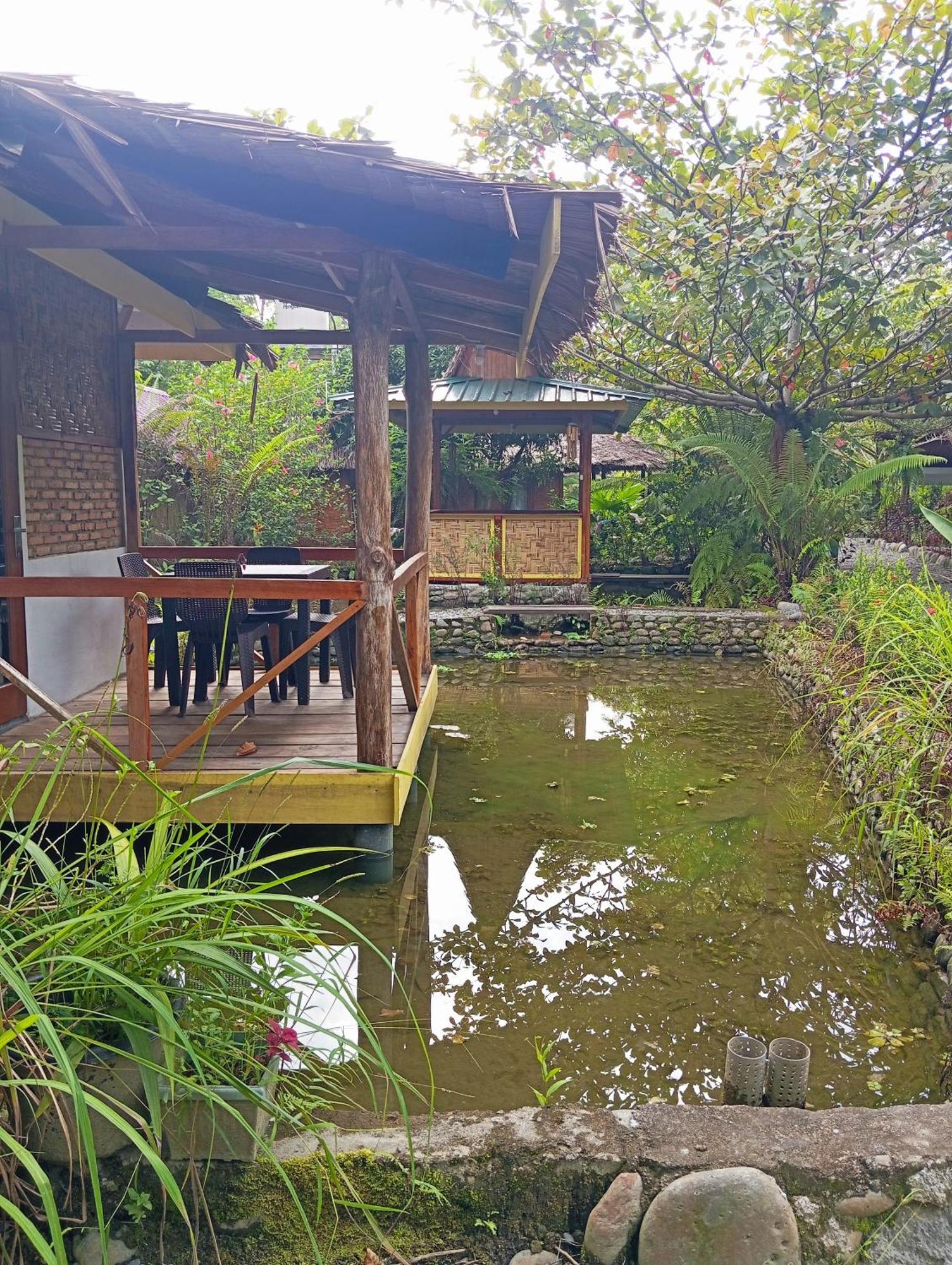 Magpie Homestay & Jungle Trekking Only For Guest Trekking With Us Bukit Lawang Δωμάτιο φωτογραφία
