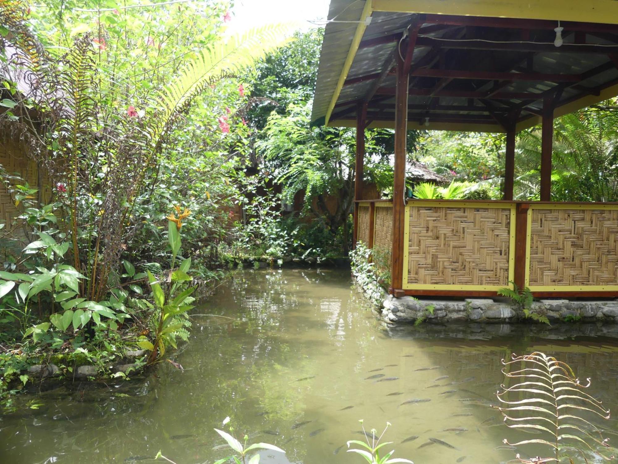 Magpie Homestay & Jungle Trekking Only For Guest Trekking With Us Bukit Lawang Δωμάτιο φωτογραφία