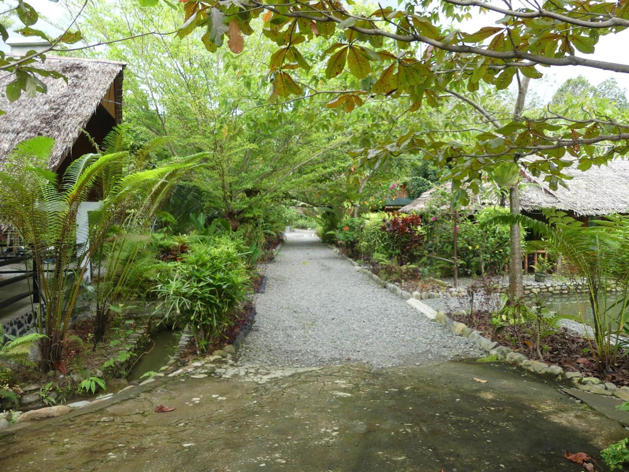 Magpie Homestay & Jungle Trekking Only For Guest Trekking With Us Bukit Lawang Εξωτερικό φωτογραφία