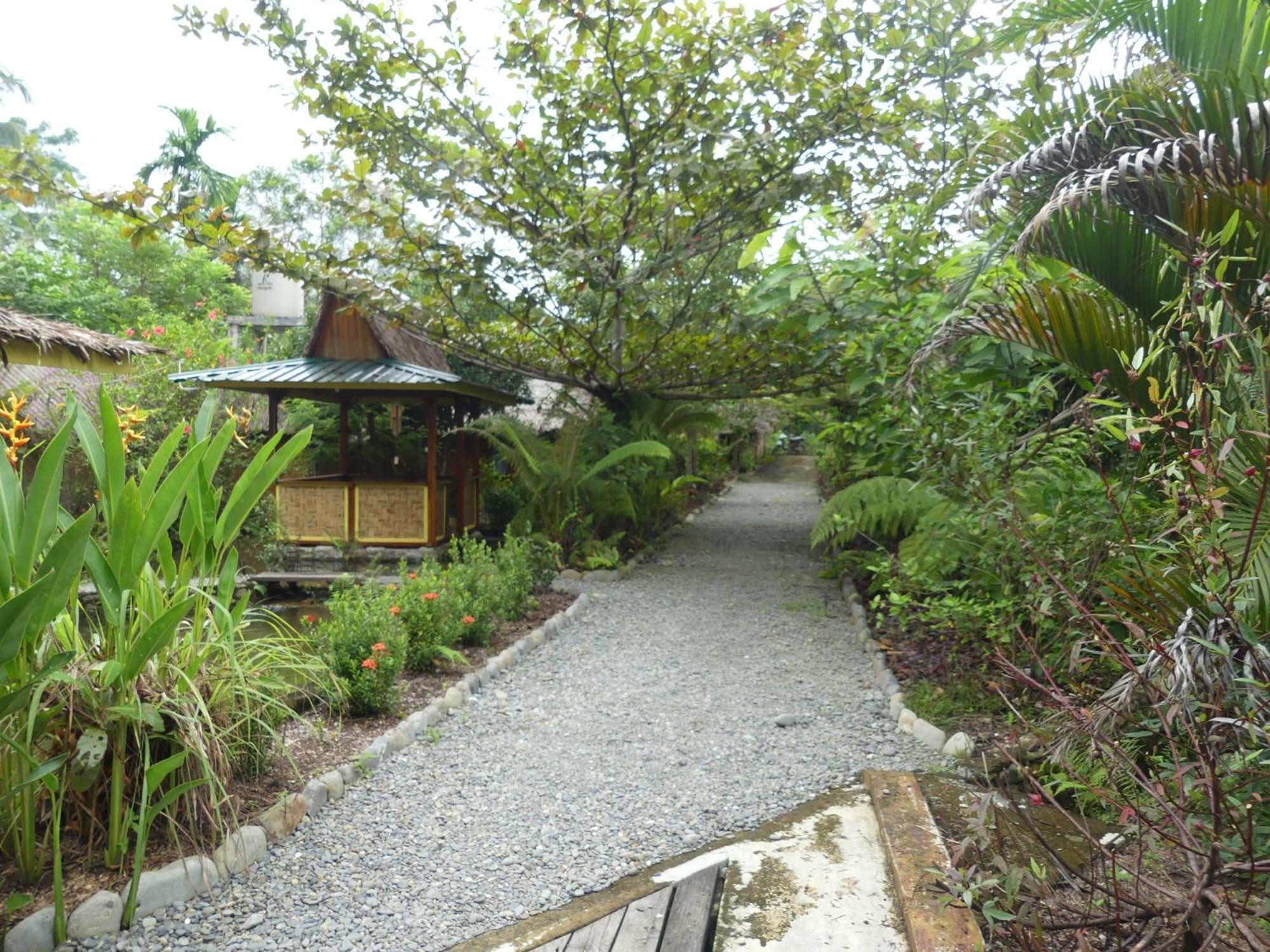 Magpie Homestay & Jungle Trekking Only For Guest Trekking With Us Bukit Lawang Δωμάτιο φωτογραφία