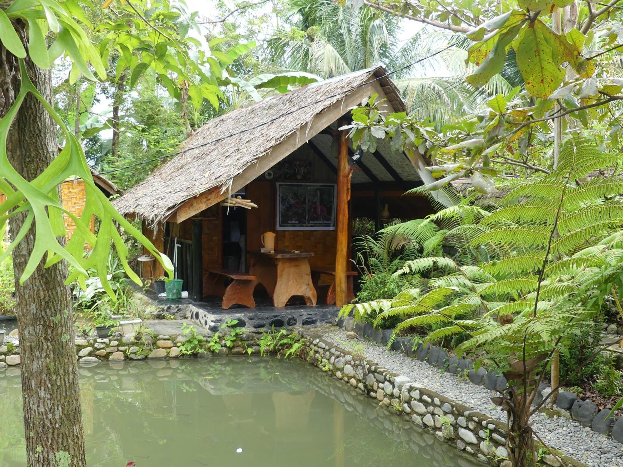 Magpie Homestay & Jungle Trekking Only For Guest Trekking With Us Bukit Lawang Εξωτερικό φωτογραφία
